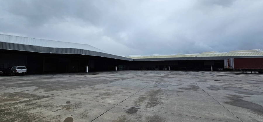 To Let commercial Property for Rent in Parow Industrial Western Cape
